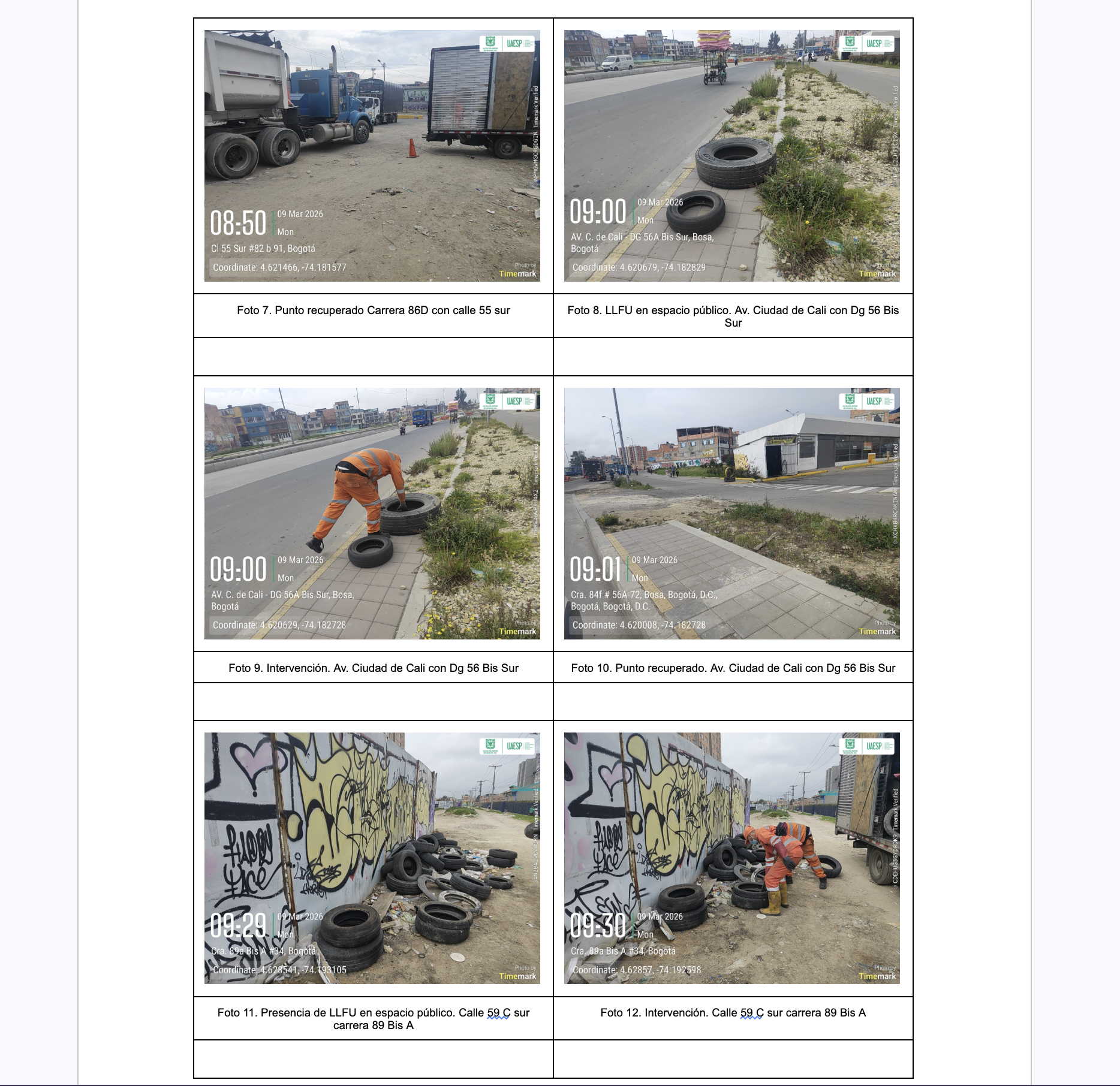 Generación de informe